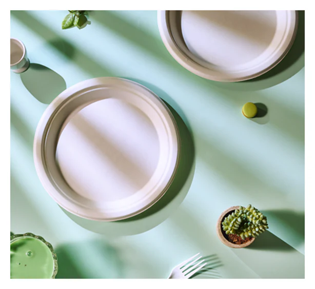 Jolly Chef blog cover from October 2024 two beige plates rest on a light green surface, accompanied by a small cactus plant, a green cup, and a fork, with shadows cast across the scene.