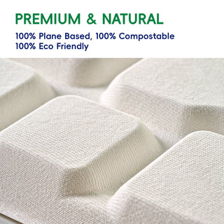 JOLLY CHEF Disposable Compostable 5 Compartment Paper plates, 10*8 inch, 120 Pack,Perfect for Boys and Girls - JOLLYCHEF