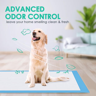 Extra - Large 5 - 6 Layer Super Absorbent Puppy Training Pads – Potty Training & Dog Mattresses – JollyMate - JOLLYCHEF