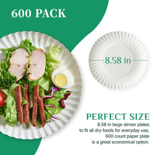 6in /8.5in White Paper Plates - Perfect for Picnics & Birthdays - JOLLY PARTY - JOLLYCHEF