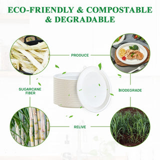 10in / 12in White Oval Compostable Plates - BBQ & Party - Vplus - JOLLYCHEF