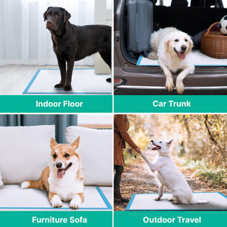 Extra - Large 5 - 6 Layer Super Absorbent Puppy Training Pads – Potty Training & Dog Mattresses – JollyMate - JOLLYCHEF