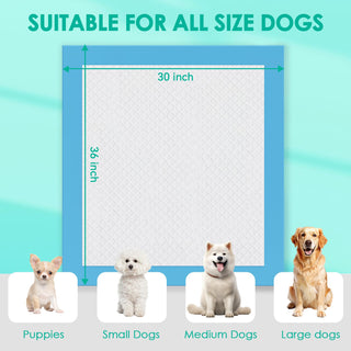 Extra - Large 5 - 6 Layer Super Absorbent Puppy Training Pads – Potty Training & Dog Mattresses – JollyMate - JOLLYCHEF