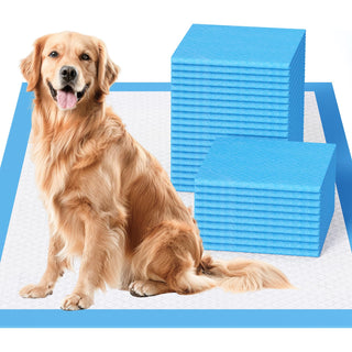 Extra - Large 5 - 6 Layer Super Absorbent Puppy Training Pads – Potty Training & Dog Mattresses – JollyMate - JOLLYCHEF
