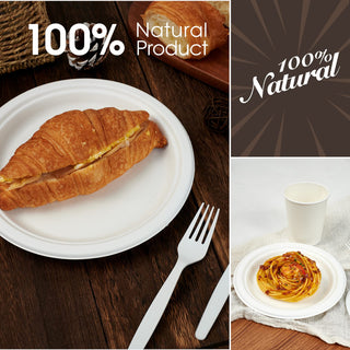 Natural Compostable Plate Set - Camping & Picnics - FOCUSLINE - JOLLYCHEF