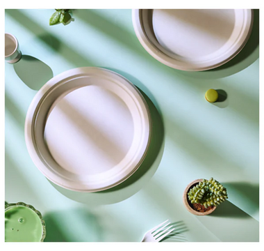 Choosing Jolly Chef: Your Trusted Partner Among Biodegradable Plates and Cups Manufacturers