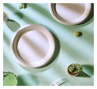 Choosing Jolly Chef: Your Trusted Partner Among Biodegradable Plates and Cups Manufacturers - JOLLYCHEF