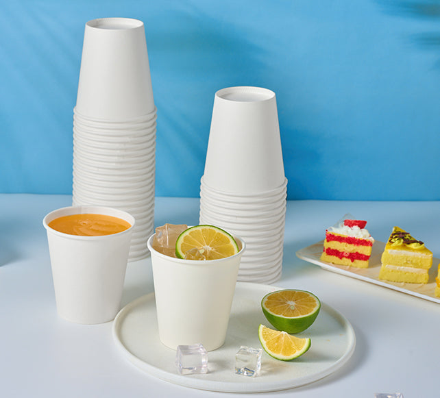 MarrySustainability with Jolly Chef: Your Trusted Biodegradable Plates and Cups Manufacturers