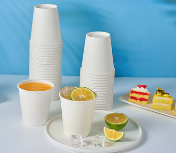 MarrySustainability with Jolly Chef: Your Trusted Biodegradable Plates and Cups Manufacturers