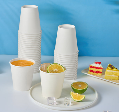 MarrySustainability with Jolly Chef: Your Trusted Biodegradable Plates and Cups Manufacturers