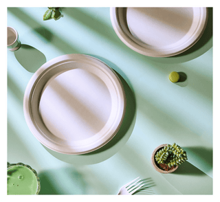 Introducing Jolly Chef: Your Primary Source for Sustainable Disposable Partyware - JOLLYCHEF