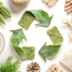 Biodegradable 101: What It Is, Why It Matters, and How Jollychef Is Leading the Way