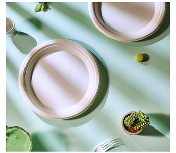 Introducing Jolly Chef: Your Primary Source for Sustainable Disposable Partyware