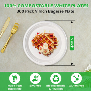 Assiettes compostables en vrac | Assiettes en canne à sucre pour pizzas, sandwichs, desserts | 100 % biodégradables, compatibles micro-ondes | Fourniture institutionnelle