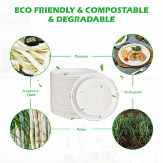 Assiettes compostables en vrac | Assiettes en canne à sucre pour pizzas, sandwichs, desserts | 100 % biodégradables, compatibles micro-ondes | Fourniture institutionnelle
