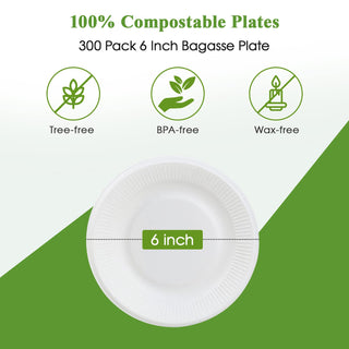 6in / 7in /8in White Round Embossed Compostable Plates - Sandwiches & Pizza - Vplus - JOLLYCHEF
