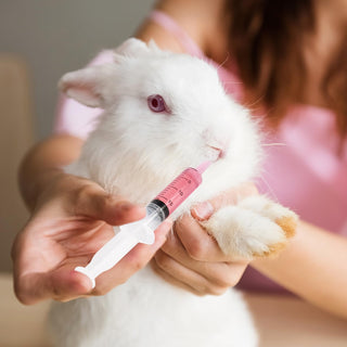 10ml/ 20ml Measuring Plastic Shot Syringes with Tip Cap - Feeding Pets & Scientific Labs - Jolly Party - JOLLYCHEF