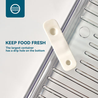 10 Pack Clear Rectangular Stackable Fridge Organizer - Storing Vegetables & Kitchen Ingredients - Luckore - JOLLYCHEF