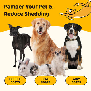 Multi - Functional 3 - in - 1 Grooming Rake Deshedding Brush - Pet Grooming & Shedding Season - Miyoky - JOLLYCHEF