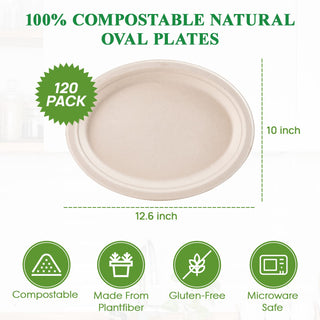 10in/ 12in Natural Oval Compostable Plates - BBQ & Picnic - Vplus - JOLLYCHEF