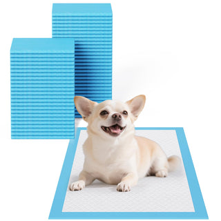 Extra - Large 5 - 6 Layer Super Absorbent Puppy Training Pads – Potty Training & Dog Mattresses – JollyMate - JOLLYCHEF