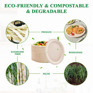 10in/ 12in Natural Oval Compostable Plates - BBQ & Picnic - Vplus - JOLLYCHEF