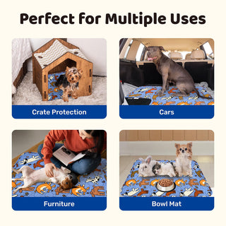 Artist-Designed 4-Layer Protection Washable Dog Pee Pads - Potty Training & Senior Dog Care - Miyoky