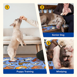 Artist-Designed 4-Layer Protection Washable Dog Pee Pads - Potty Training & Senior Dog Care - Miyoky