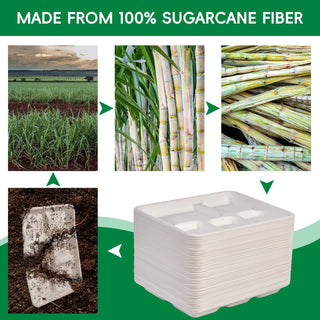 Jolly Chef 10*8 inches compostable disposable 5 compartment paper plates (120 pack) are made from 100% sugarcane fiber