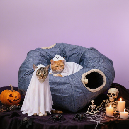 Pet Deals You’ll Love