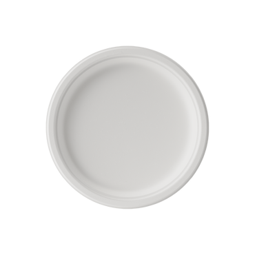 White Paper Plates