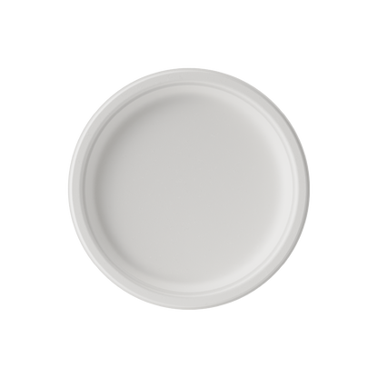 White Paper Plates