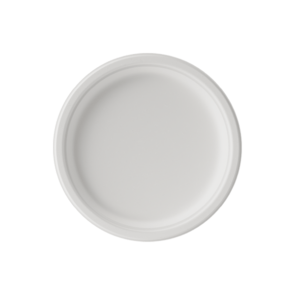 Bulk Compostable Plates | Sugarcane Plates for Pizza, Sandwiches, Desserts | 100% Biodegradable, Microwave Safe | Institutional Supply