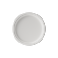 White Paper Plates