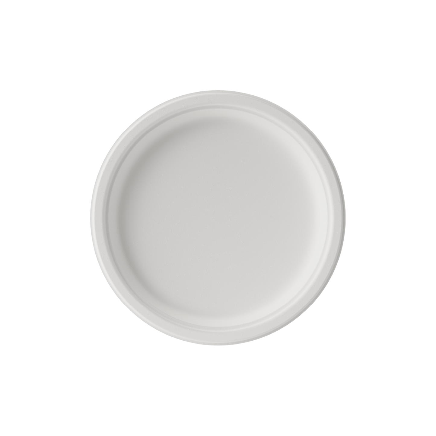 White Paper Plates