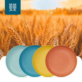 9in /10in Multicolor Wheat Straw Plates - Serving Meals & Salads - Jolly Choice - JOLLYCHEF