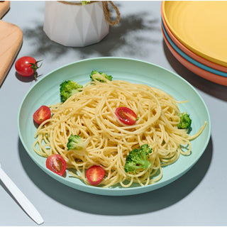 9in /10in Multicolor Wheat Straw Plates - Serving Meals & Salads - Jolly Choice - JOLLYCHEF