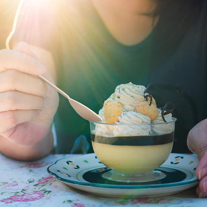 ECOLipak Wooden Disposable Spoons